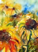 Sonnenblumen, Aquarell