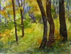 Bäume, Aquarell