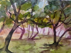 Bäume, Aquarell